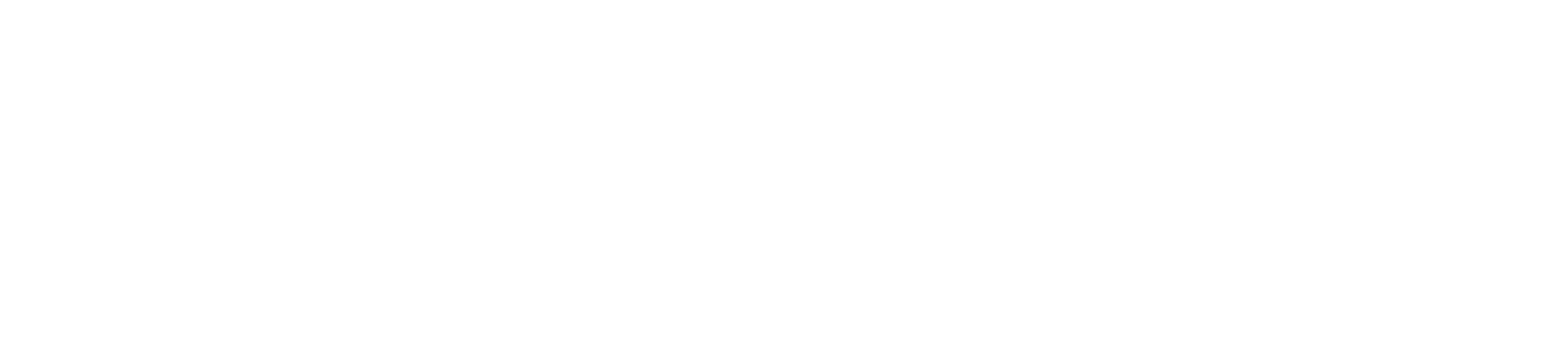 TONI SAILER Logo